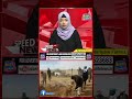 49 people die in Sahara desert due to lack of water, heartbreaking tragedy