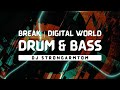 Break drum and bass mix 2023  digital world symmetry recordings