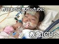 救急救命センターへ/昨日まで元気だったのに人工呼吸器挿管