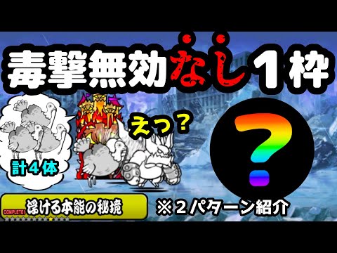 【毒撃無効なし！】１枠で浮ける本能の秘境を攻略 にゃんこ大戦争