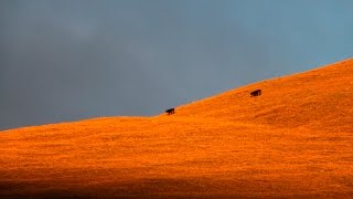 Тянь Шань 2015   / Tien Shan Mountains 2015 /