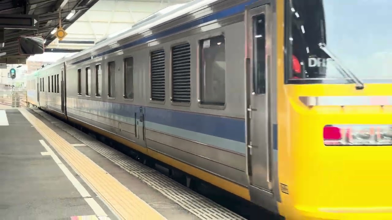 ドクター東海(^｡^)キヤ95系気動車 (o^^o)発車❗️】 #電車 #ドクター