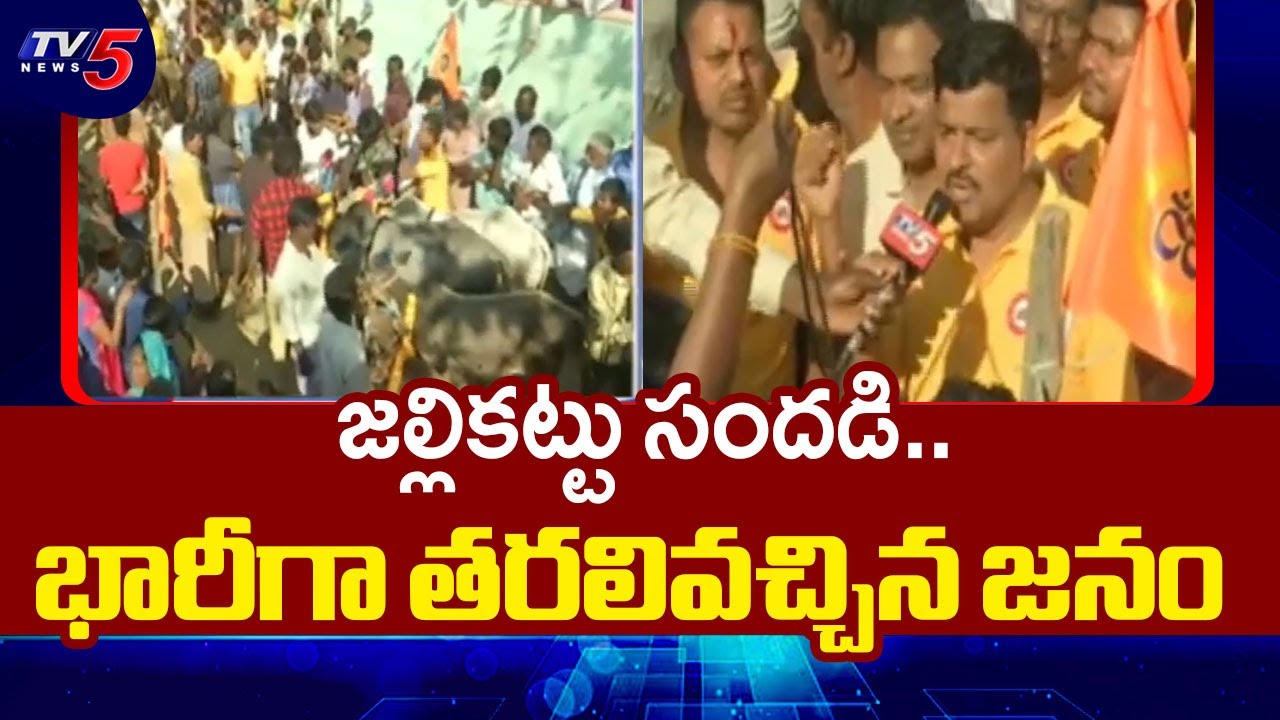 Jallikattu Festival In Chittoor District : జల్లికట్టు సందడి | AP News | TV5 News