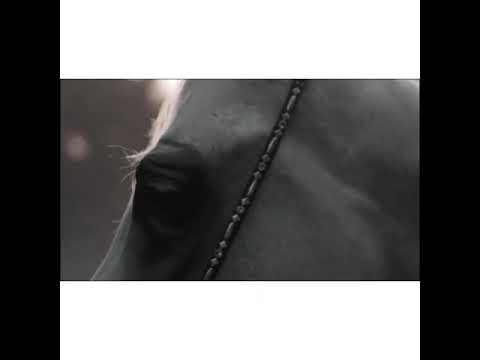 ماشالله تبارك الله جمال رباني