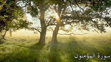 (( Surah Al-Mu'minun ))___سورة المؤمنون من القران الكريم 🌺تلاوة جميلة جدا🌺 بدون حقوق الطبع والنشر