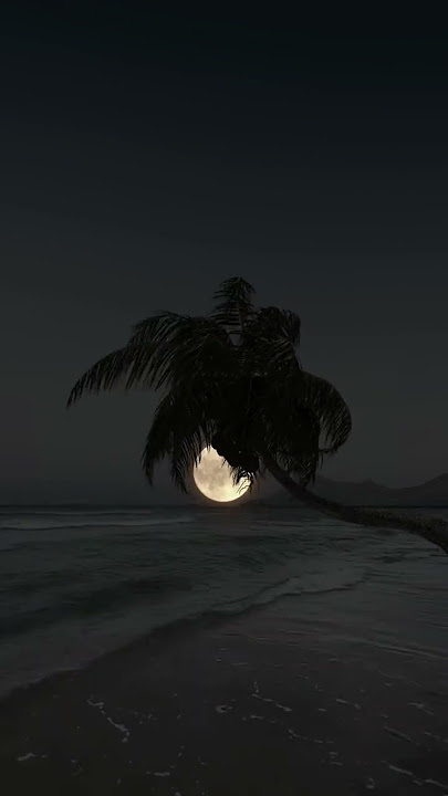 Menikmati malam di pantai #feedshorts #relaxing #relaksasi #malam #night #pantai #sea