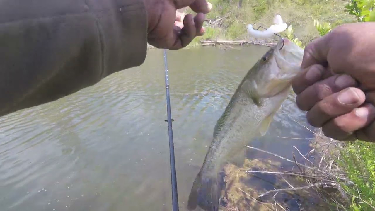 Bass Fishing
