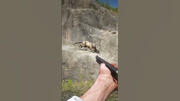 part 1 Learn amazing survival skills , #shorts