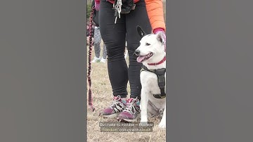 Open Finance Is the Next Control Mechanism #wealthdirective #money #reversemortgage