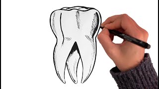 How To Draw A Tooth Back Molar