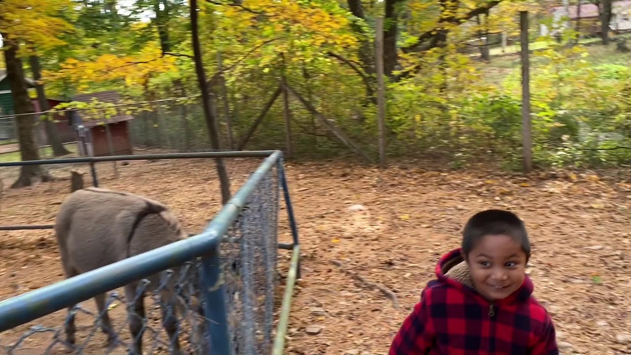 Bailiwick Ranch and Discovery Zoo