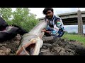 आखिर वह मिला ही नहीं जिसकी हमें तलाश थी लेकिन जो मिला है! Big wallago attu fishing with spoon..