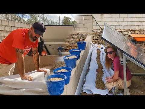 Building a French Drain | DIY Garden Drainage Installation | Home Renovation