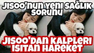 Ji̇soo Dalgomu Birakmak Zorunda ? Jisoonun Yeni Sağlık Sorunu ?