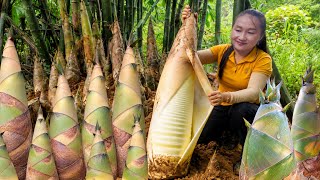 Harvesting giant bamboo shoots deep in the mountains and sour plum to sell at the market.