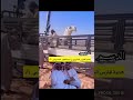 هدية فارس الجروي ل ابيه قعود حيسوني