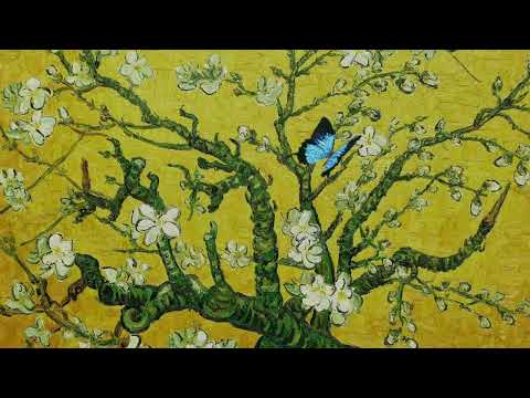 JVKE Golden Hour 1 HOUR PERFECT LOOP Perfect Continuation 