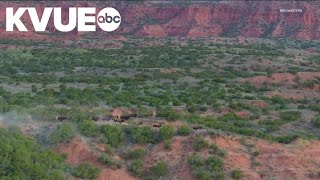 Texas voters to decide on Prop 14 to create $1B fund for new parks
