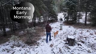 Morning in Montana #MontanaLife #MorningWalk #ForestWalk #PeacefulLiving #DogWalk