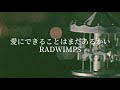 愛にできることはまだあるかい/RADWIMPS(cover)