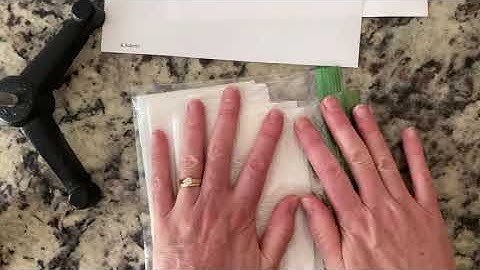 Soil Salinization Lab at Home Day 1 set up Part 1