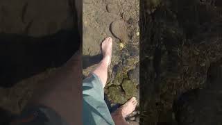 hermoso lugar de Alijilan Catamarca