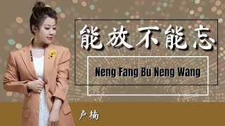 能放不能忘-Neng Fang Bu Neng Wang [ 卢楠-Lu Nan ] chi/pinyin lyrics