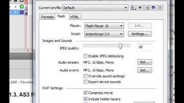 3 ActionScript 3 0   Publish Settings