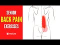 EASY Lower Back Pain Relief Exercises for Seniors (Age 55+)