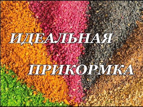 ИДЕАЛЬНАЯ САМОДЕЛЬНАЯ ПРИКОРМКА (фидер)