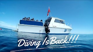 Scuba Diving Is Back In Bermuda - Ep 7 | Blue Horizon Diving