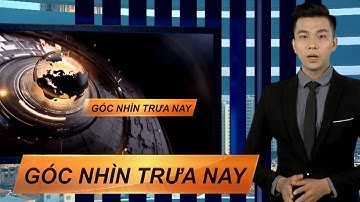 Góc nhìn trưa nay | Bạn trẻ thích thú check-in với cánh đồng hoa rộng 4 hécta ở Sài Gòn