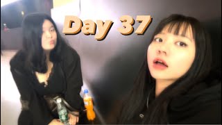 (Day 37) Hành trình Manifest SP - Nói chuyện phiếm về giấc mơ