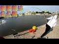 龍膽石斑跳線釣法全公開!那個釣具店老闆全教你!麗水海釣場大斑C池 Fishing in Taiwan    台湾の釣り