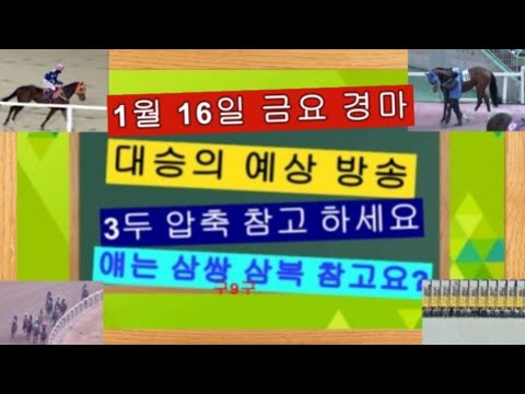 복+병 삼복 참고 금요 부산.제주.차분하니 찾아봐요?