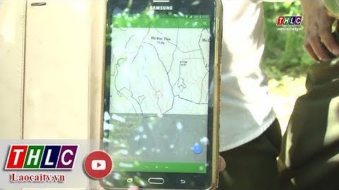 Ứng dụng công nghệ thông tin vào công tác quản lý, bảo vệ rừng | THLC