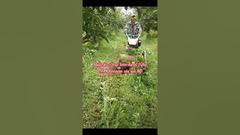 Máy Cắt Cỏ Trục Băm Động Cơ Diezel 10hp Máy Cắt Cỏ Nông Nghiệp