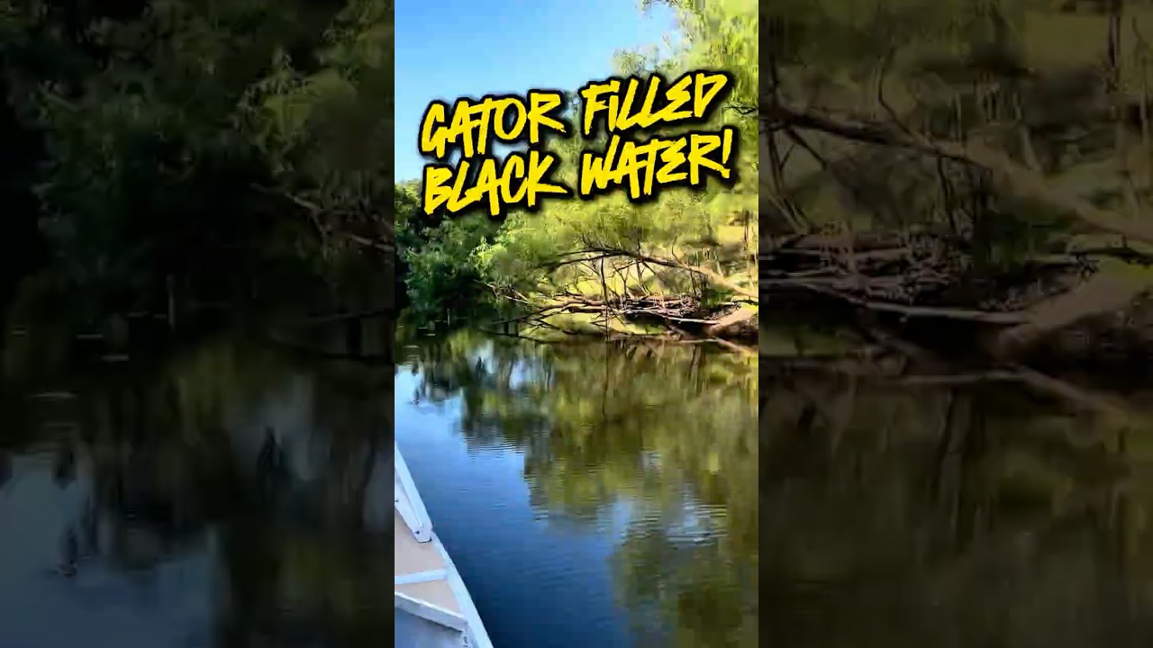 Peace River Fossil Hunting Adventures!