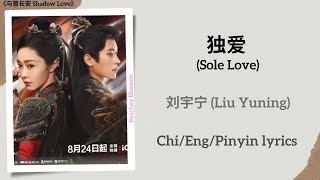 独爱 (Sole Love) - 刘宇宁 (Liu Yuning)《与晋长安 Shadow Love》Chi/Eng/Pinyin lyrics