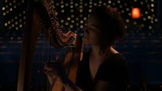 Dancing Trees - Alexandra Hamilton-Ayres