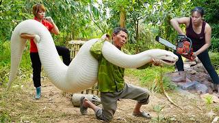 72 Hours of Python Hunting 😱 Setting Traps in the Forest – Brave Woman Fights with a Chainsaw