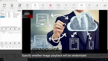 Gazepoint Analysis Text Image Video Testing Demo