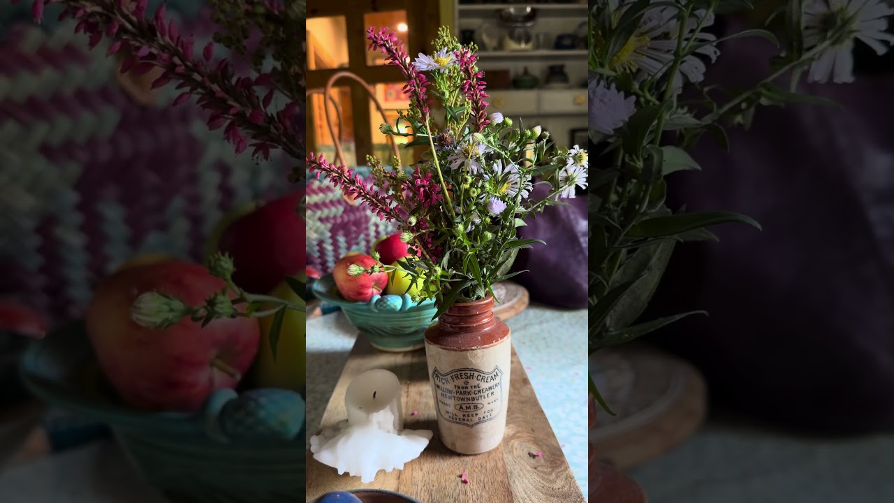 Michelmass Daisies