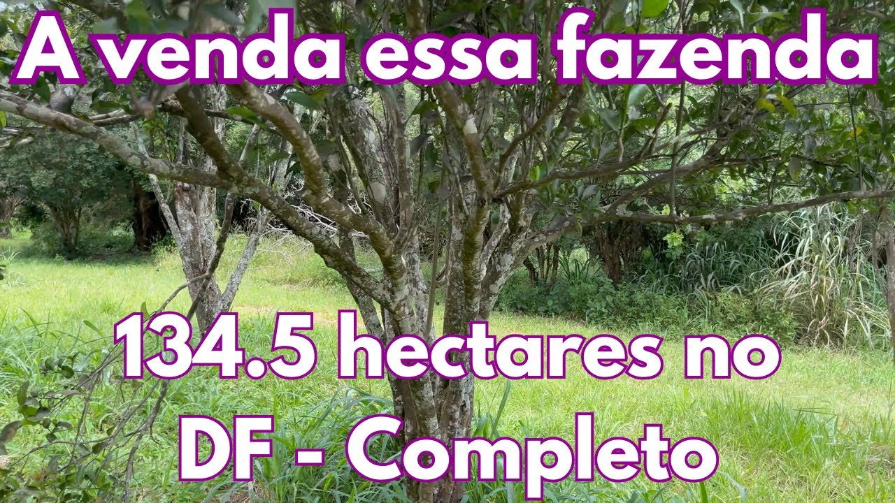 A venda essa fazenda de 134.5 hectares no DF - Completo NÚMERO NOVO!!! (61) 99056041