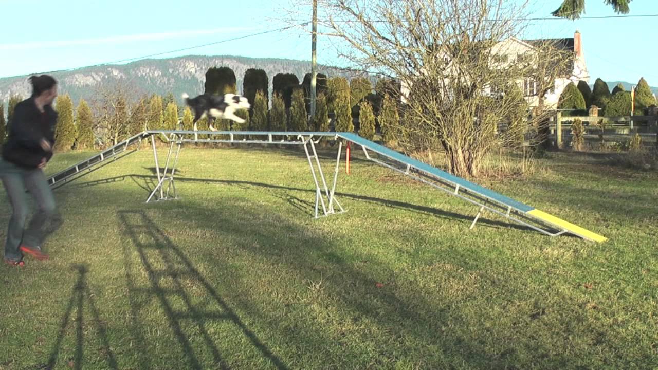 fed jan 11 reg speed