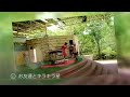 熊本市動植物園秋桜まつり2018 茶屋桃子エレクトーンコンサート