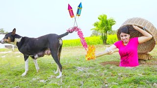 Must watch Very spacial New funny comedy videos amazing funny video 2024🤪Episode 43 by funny dhamaka