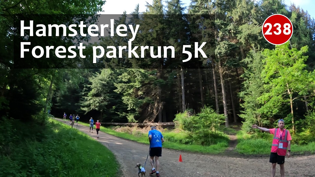 Treadmill Virtual Run 238: Hamsterley Forest parkrun 5K