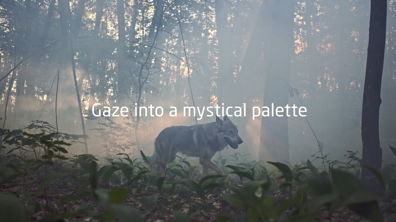 #CatchtheColor – Folkstone Gray