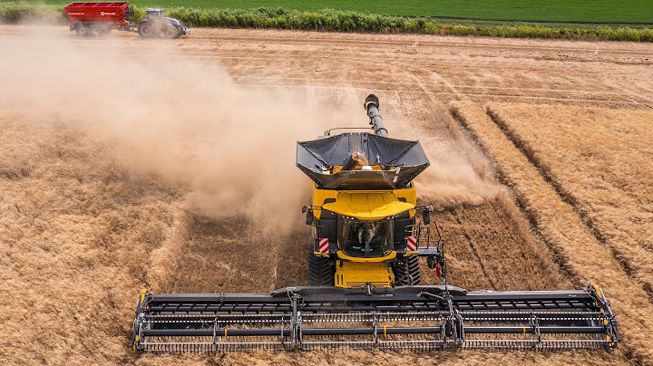 🌾 Žatva  2025 | New Holland CR 11 | New Holland T7